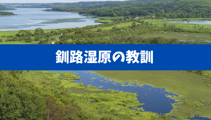 【釧路湿原の教訓】再エネ賦課金3.1兆円と生態系破壊の歪み